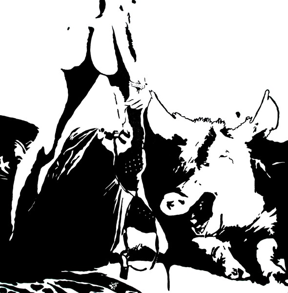 Pig