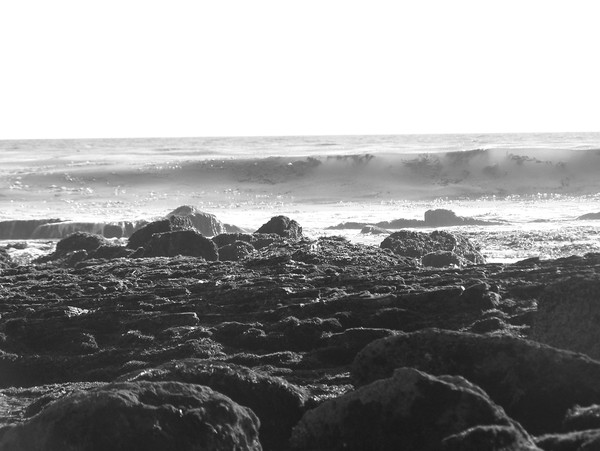 Untitled 33