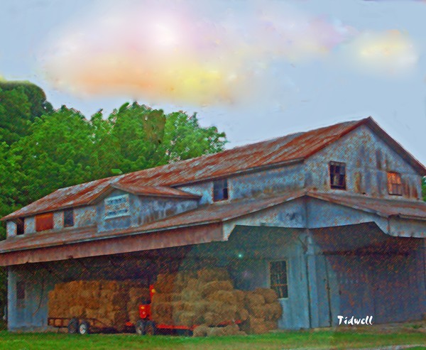 Continential Cotton Gin copy