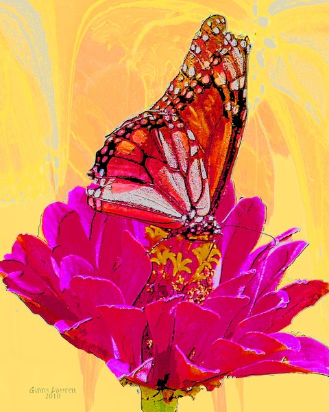 Butterfly on Flower