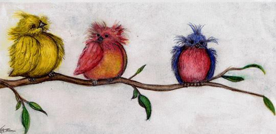 BIrds on A Branch
