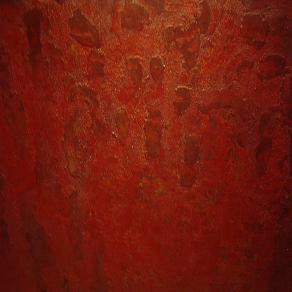 corteza de abeto