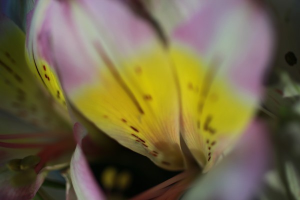 20120302 3