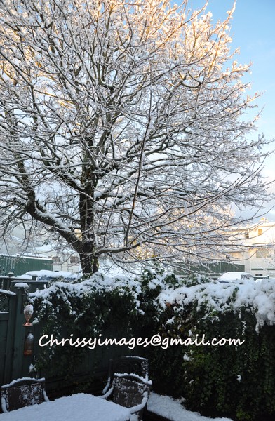first snow