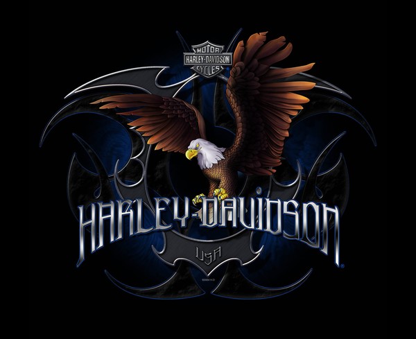 H-D U.S.A