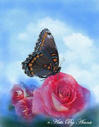 Butterflies And Roses