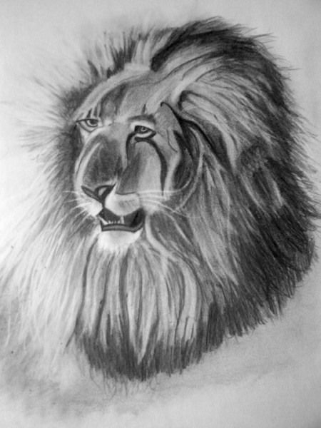 The Lion