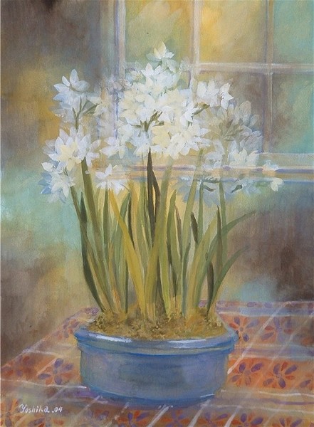 White Daffodils