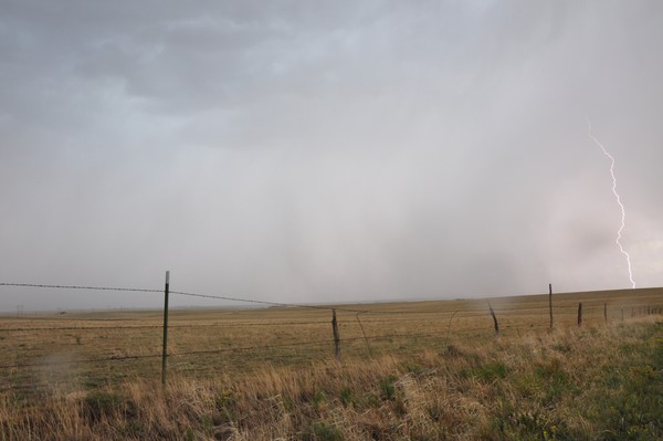 Colorado Storm 4