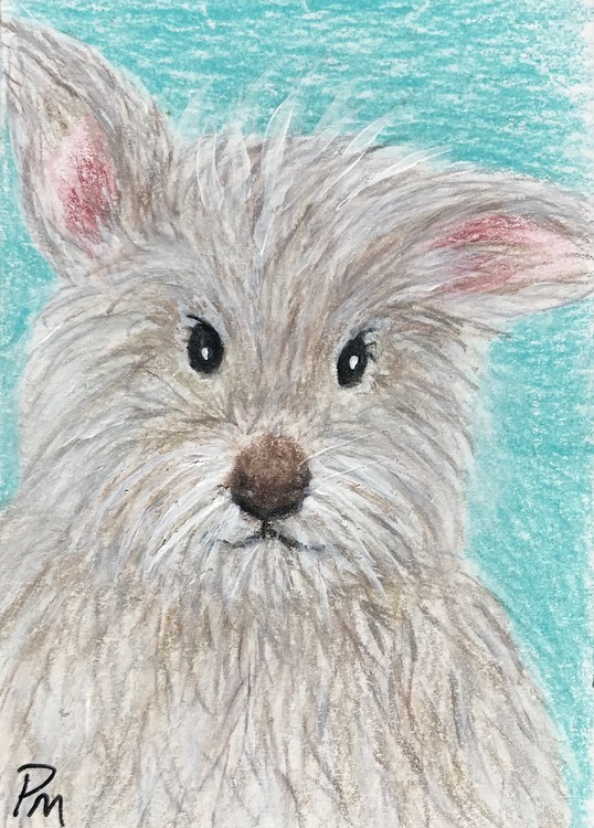 Hairy