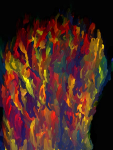 Mind Clutter