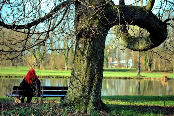 Alone on a bench