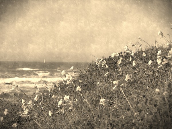 Distant Sailboat