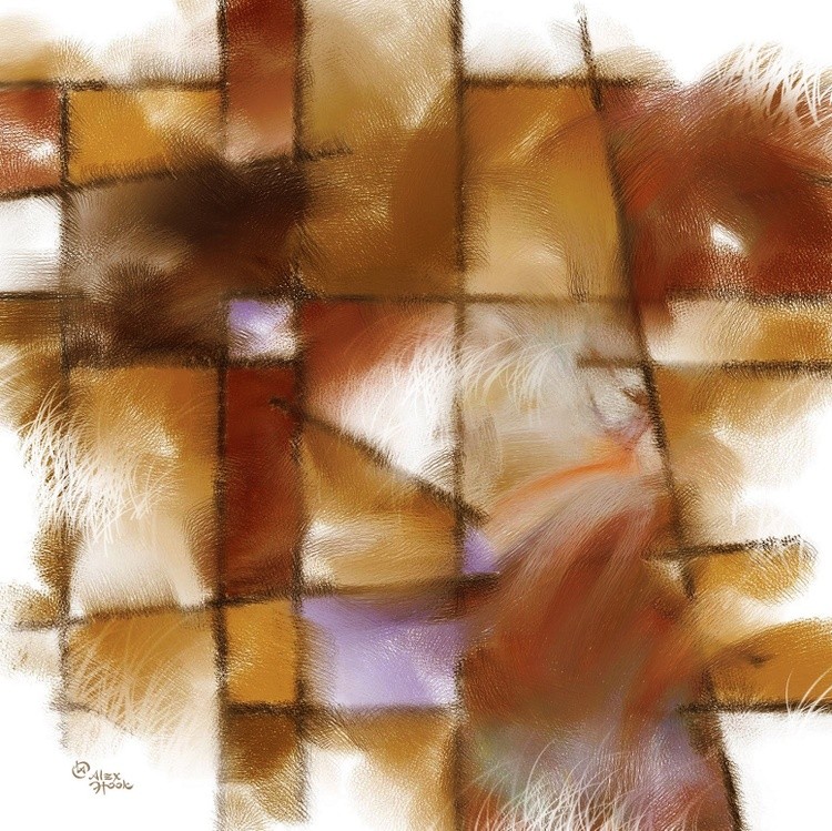 Safari IV