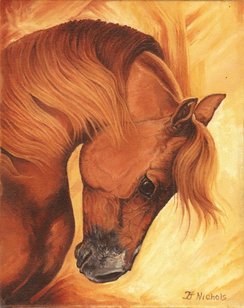 Arabian Horse