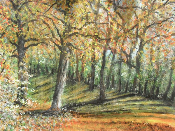 woodland in surrey