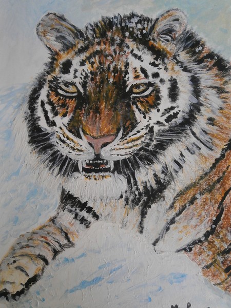 tiger in the snow