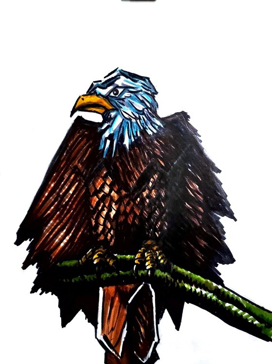 Eagle 