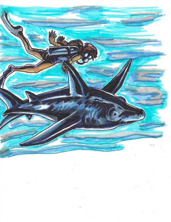 Scuba Diver Shark (color)
