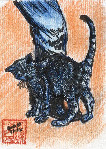 The Barn Cat