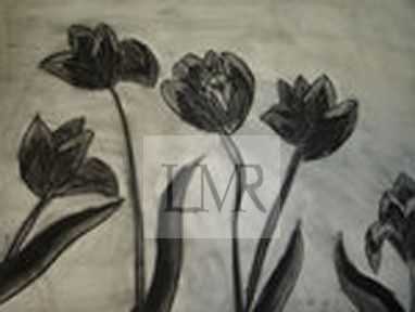 Flowers Devoid of Color