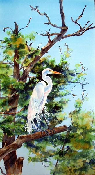Out on a Limb