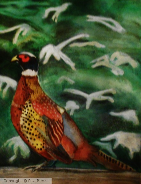 Pheasant