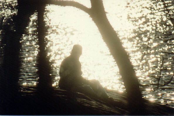 Mills-Norrie State Park, Hudson River, NY