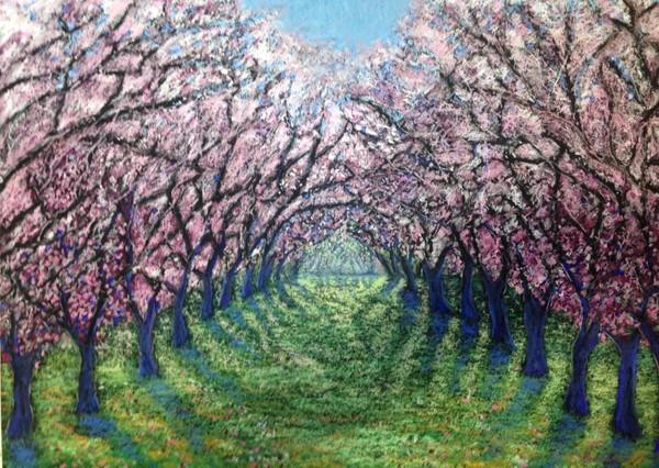 Springtime Blossoms
