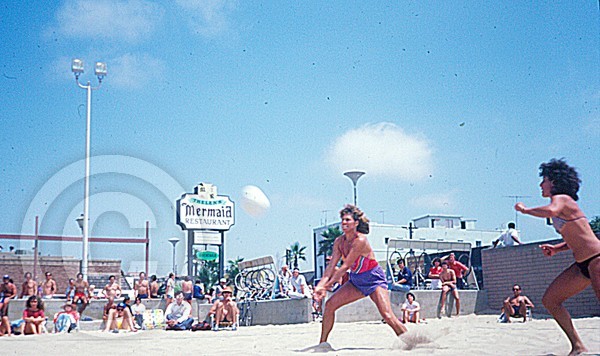 K.Gregory H.O. '82
