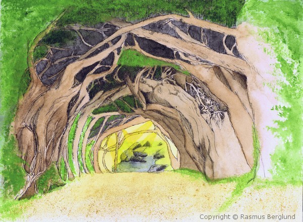 Tree tunnel