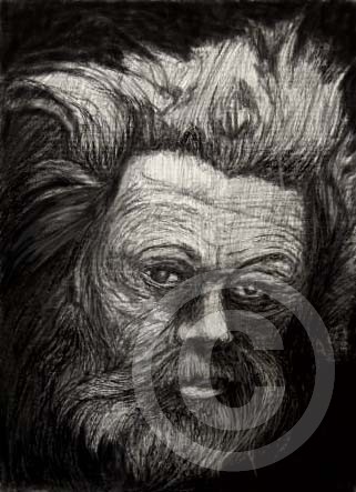 The Miner