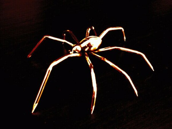 Spider1
