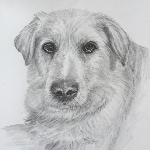 Rosie 