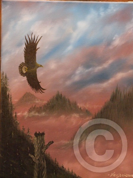 Where Eagles Fly