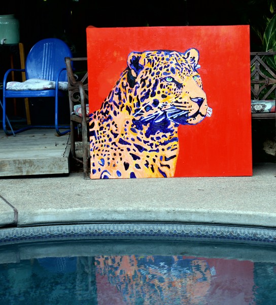 Jaguar who live outside Eat Grass