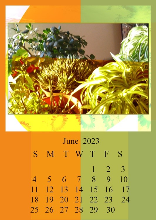 Calendar 2023