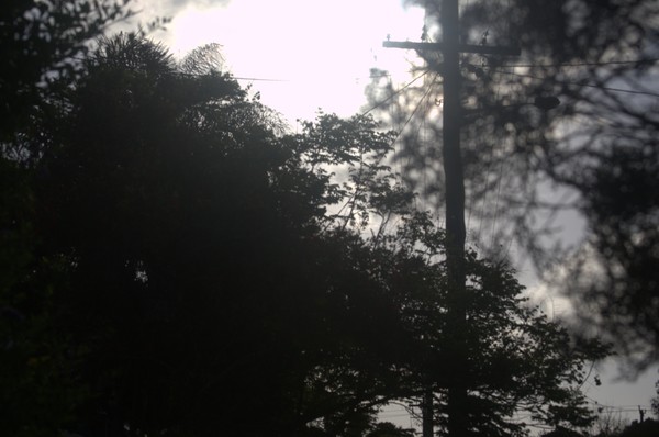 DSC 0155