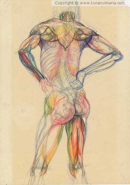 Anatomy Study