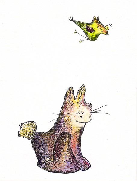 Cat
