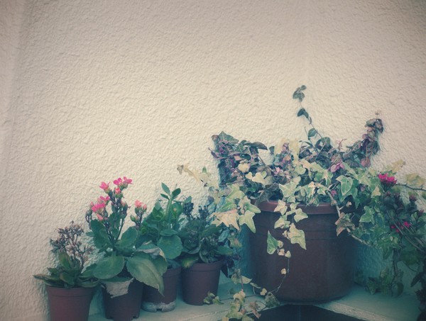 Flowerpots