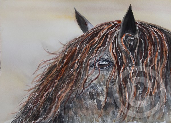 horse