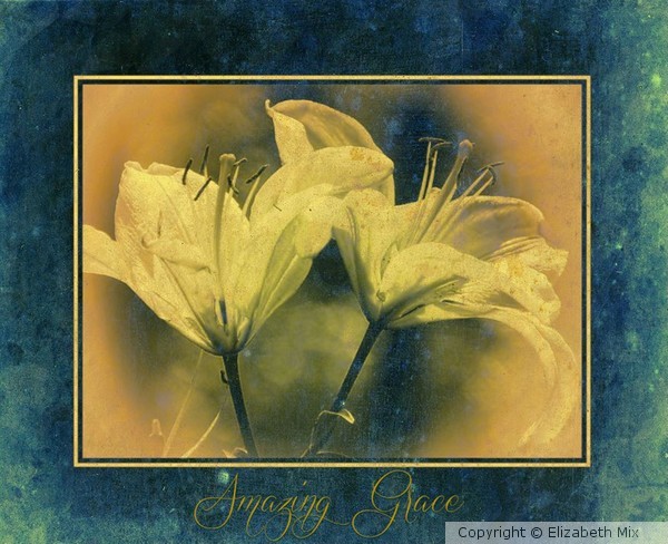 amazing grace liles