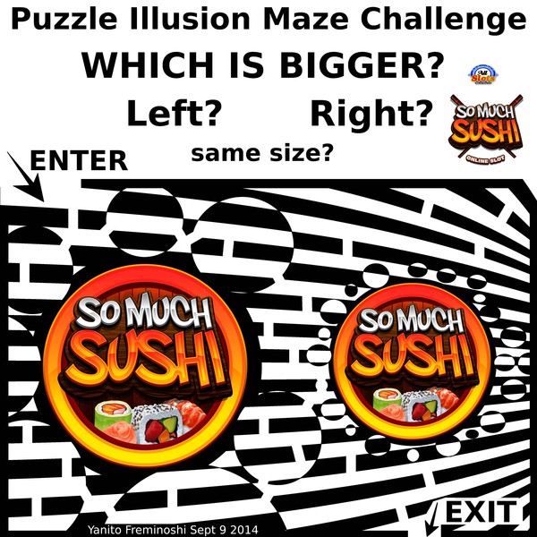So Much Sushi Maze Illusion 