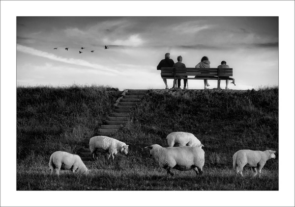 Quietude
