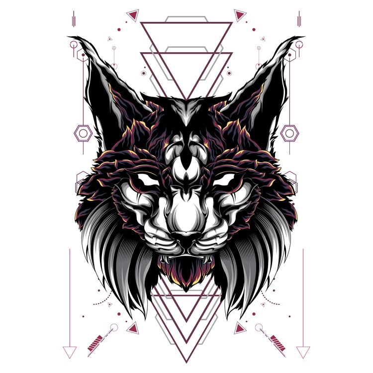 cat-01