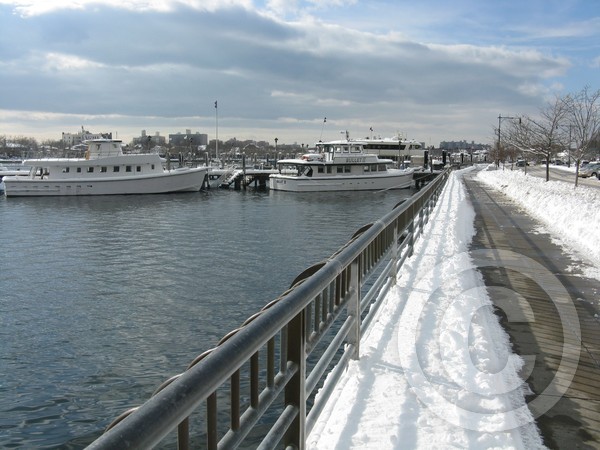 baysnowa