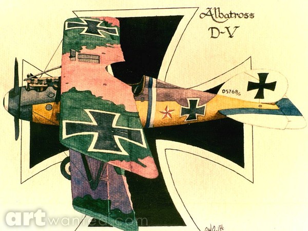 Albatross D-V
