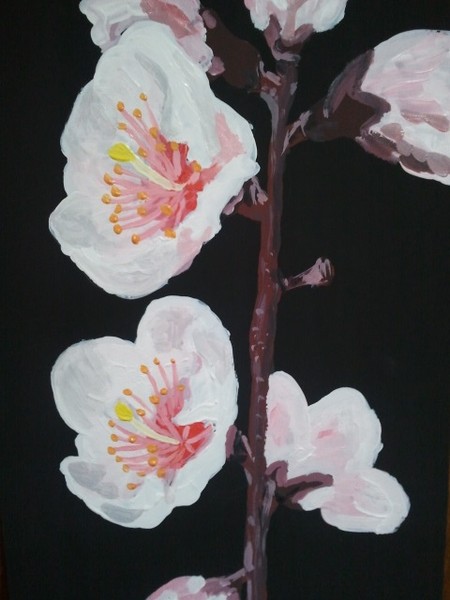 pink flowers on black