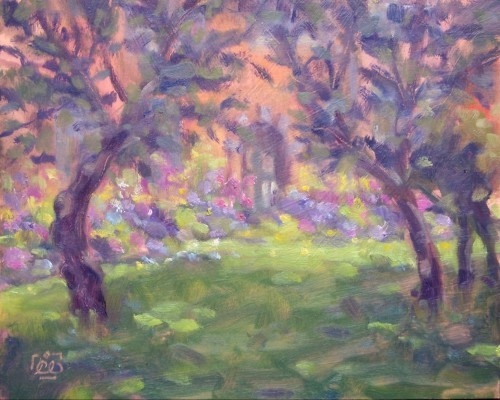 cottage garden